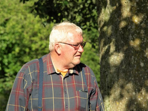 traeklipning2017_009.jpg