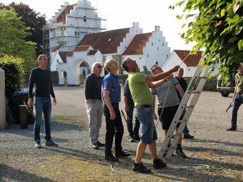 traeklipning2017_017.jpg