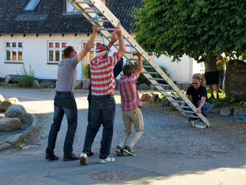 traeklipning2017_025.jpg