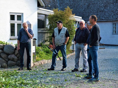 traeklipning2017_036.jpg