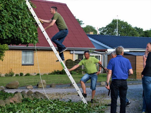 traeklipning2017_041.jpg