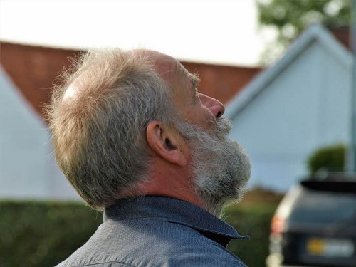 traeklipning2017_046.jpg