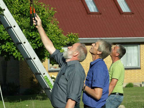 traeklipning2017_058.jpg
