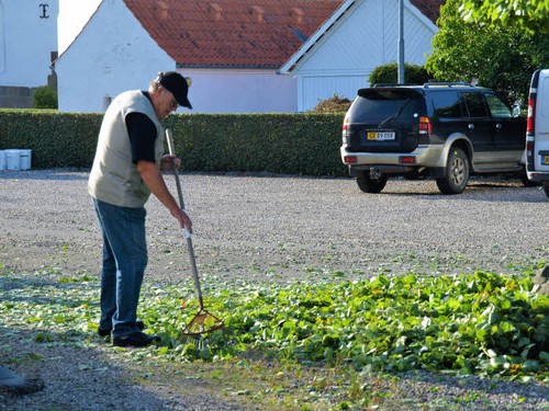 traeklipning2017_067.jpg
