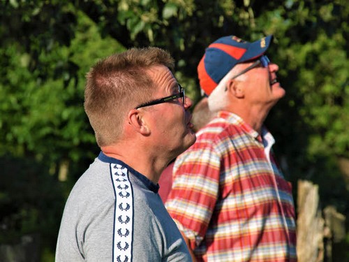traeklipning2017_070.jpg