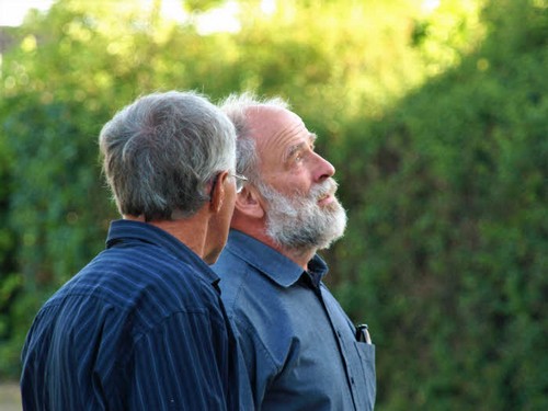 traeklipning2017_077.jpg