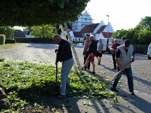 traeklipning2017_079.jpg