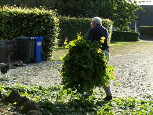 traeklipning2017_080.jpg