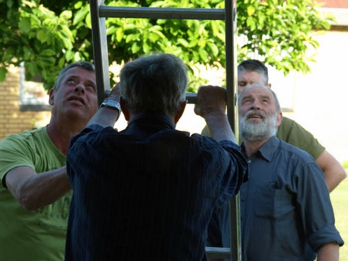 traeklipning2017_081.jpg