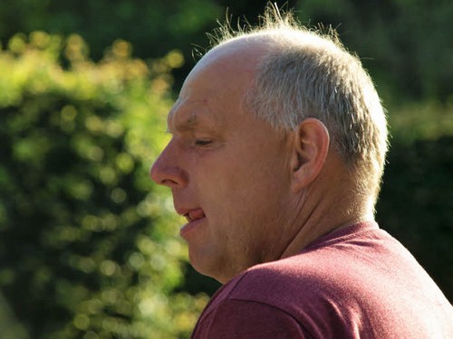 traeklipning2017_083.jpg
