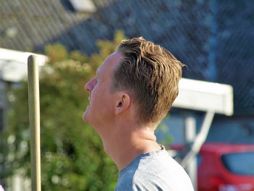 traeklipning2017_086.jpg