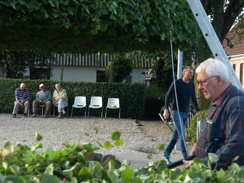 traeklipning2017_092.jpg