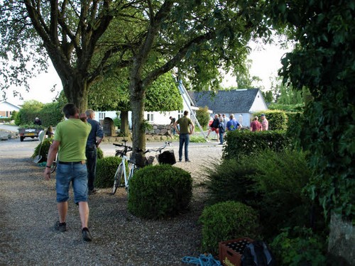 traeklipning2017_099.jpg