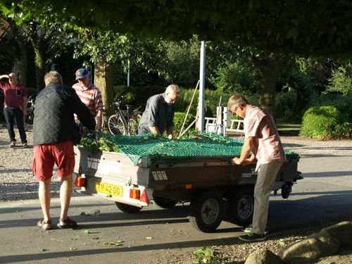 traeklipning2017_108.jpg